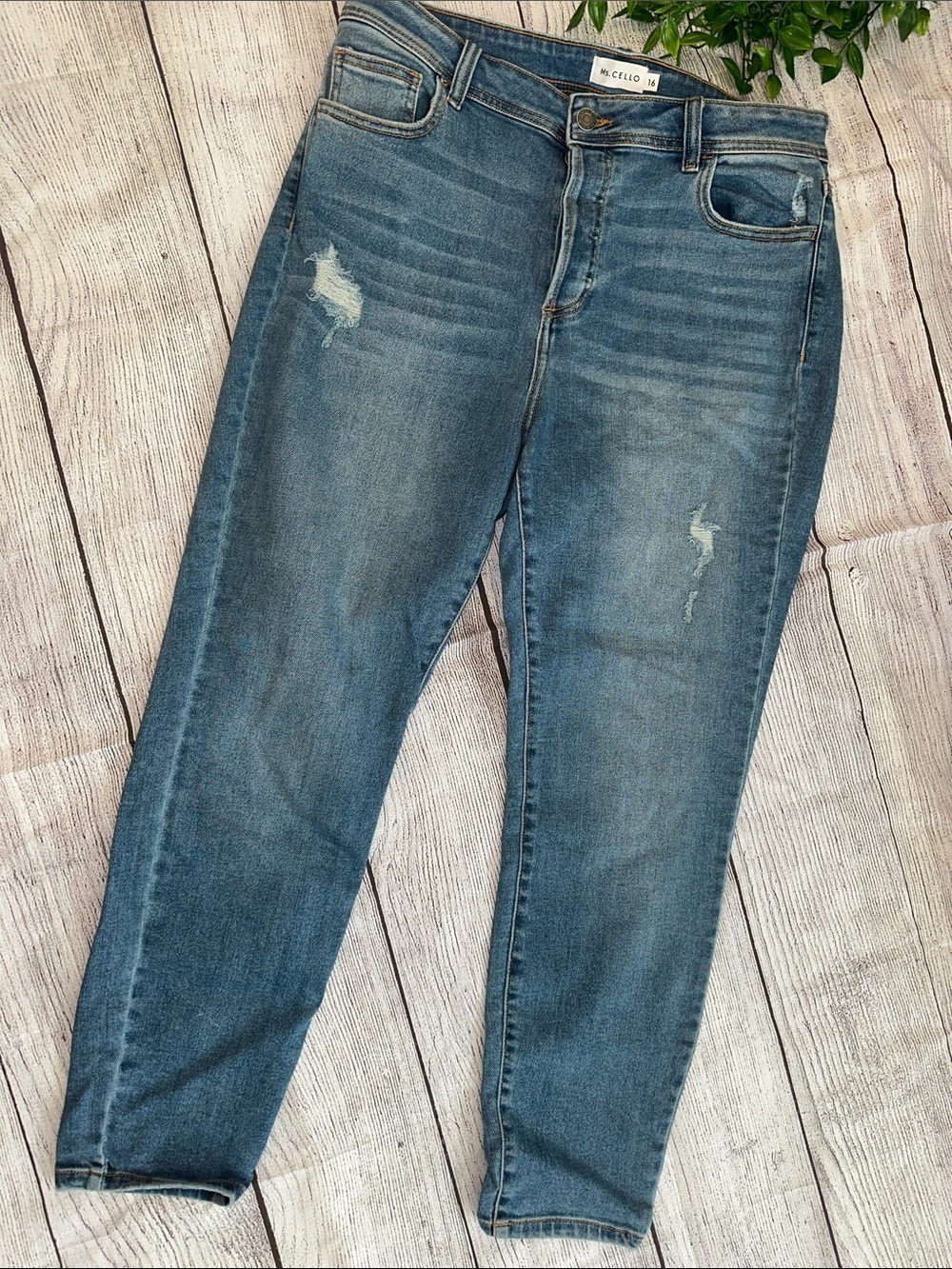 Cello Women's Skinny Jeans in Faded Blue with Light Distressing